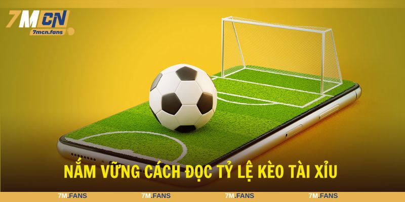 Hướng dẫn đọc chuẩn xác từng tỷ lệ trong hình thức