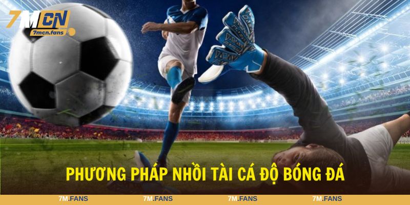 Kinh nghiệm soi kèo bóng đá nhồi tài đóng vai trò quan trọng