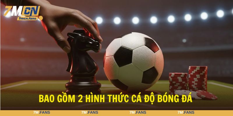 Lựa chọn hình thức cá độ bóng đá phù hợp với bạn