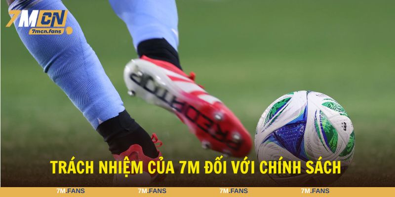 Website 7M cam kết hoàn thành tốt trách nhiệm bản thân